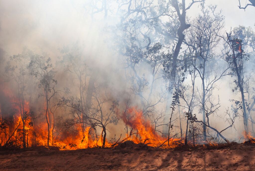 Protecting Your HVAC System During Wildfire Season